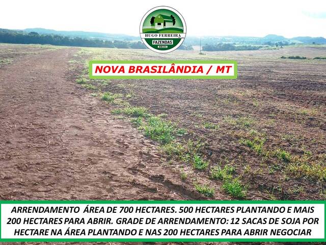 #5165 - Fazenda para Arrendamento em Nova Brasilândia - MT - 3