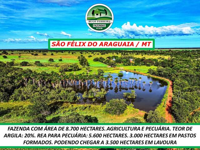 #5177 - Fazenda para Venda em São Félix do Araguaia - MT - 1