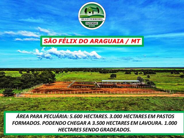 #5177 - Fazenda para Venda em São Félix do Araguaia - MT - 2