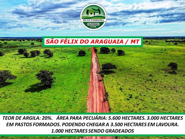 #5177 - Fazenda para Venda em São Félix do Araguaia - MT - 3