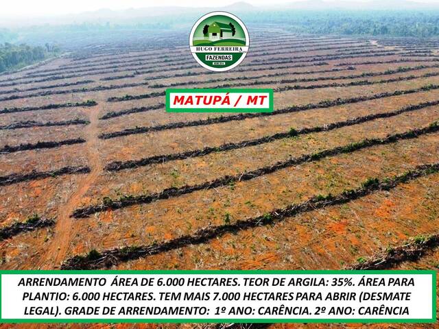 #5188 - Fazenda para Arrendamento em Matupá - MT - 3