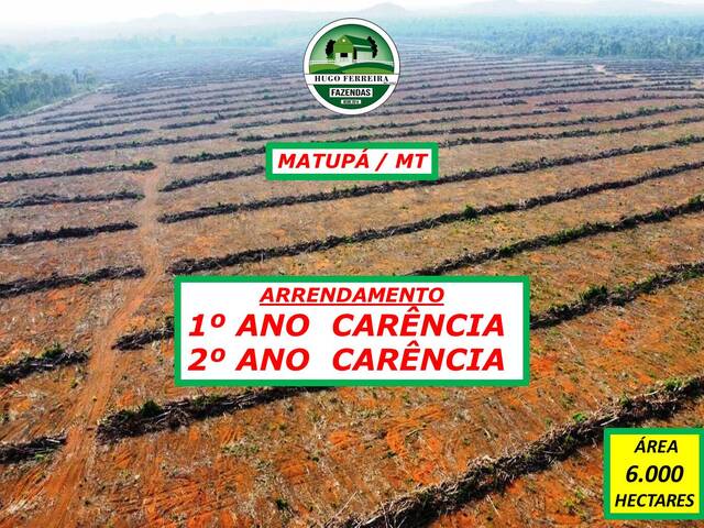 #5188 - Fazenda para Arrendamento em Matupá - MT - 1