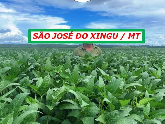#5199 - Fazenda para Arrendamento em São José do Xingu - MT - 2