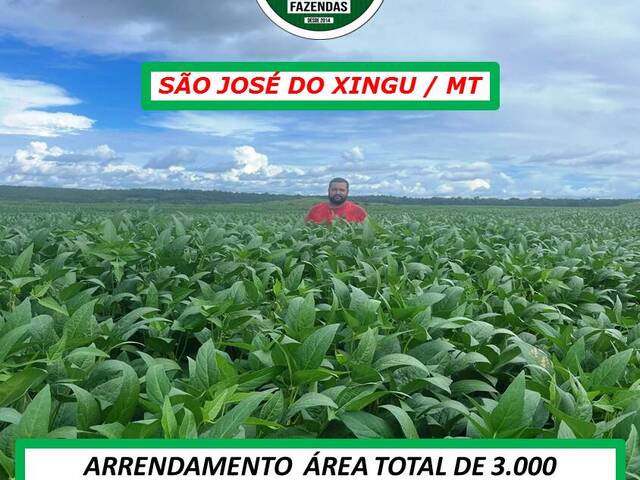 #5199 - Fazenda para Arrendamento em São José do Xingu - MT - 3