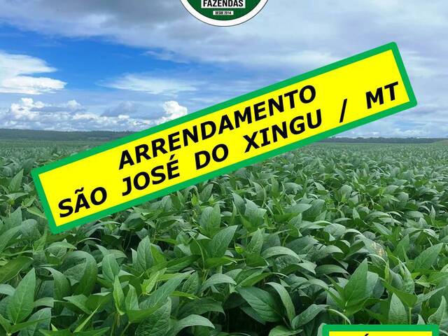 #5199 - Fazenda para Arrendamento em São José do Xingu - MT - 1