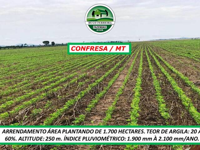 #5200 - Fazenda para Arrendamento em Confresa - MT - 2