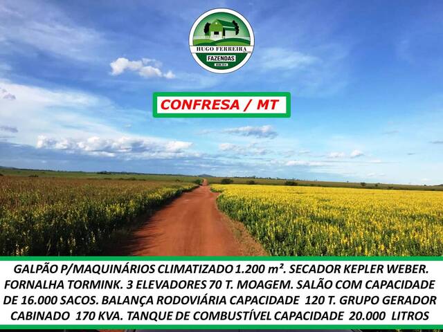 #5200 - Fazenda para Arrendamento em Confresa - MT - 3