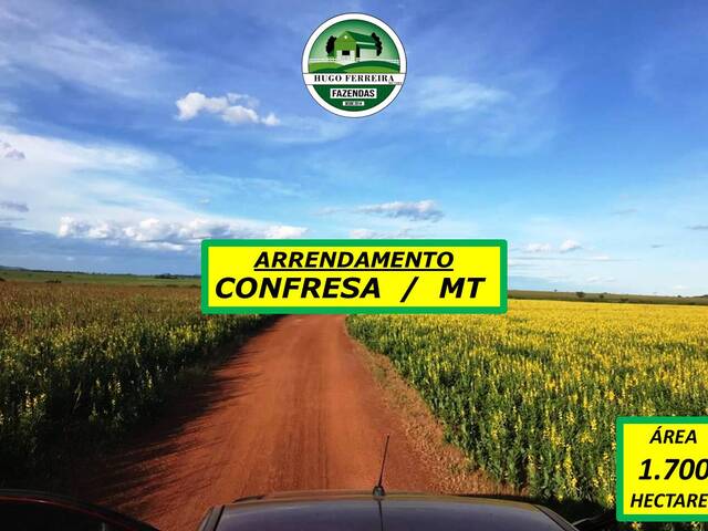#5200 - Fazenda para Arrendamento em Confresa - MT - 1