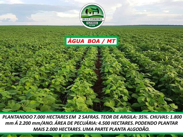 #5222 - Fazenda para Venda em Água Boa - MT - 2