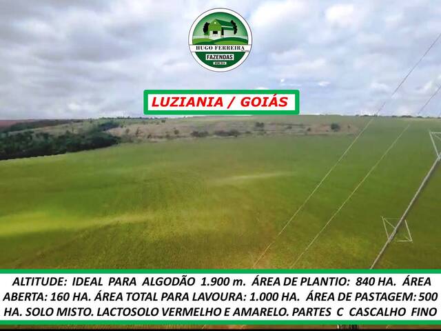 #5232 - Fazenda para Venda em Luziânia - GO - 3