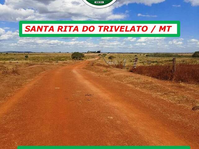 #5252 - Fazenda para Arrendamento em Santa Rita do Trivelato - MT - 2