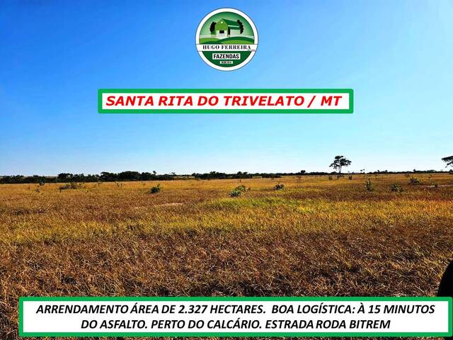 #5252 - Fazenda para Arrendamento em Santa Rita do Trivelato - MT - 3