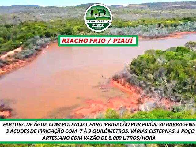 #5266 - Fazenda para Arrendamento em Riacho Frio - PI - 2