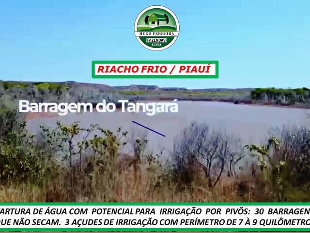 #5266 - Fazenda para Arrendamento em Riacho Frio - PI - 1