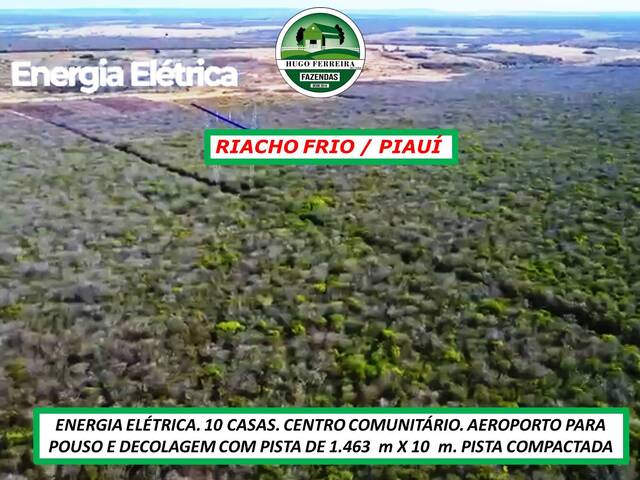  para  em  - 5