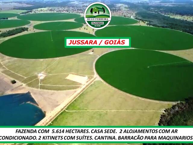 #5277 - Fazenda para Venda em Jussara - GO - 2