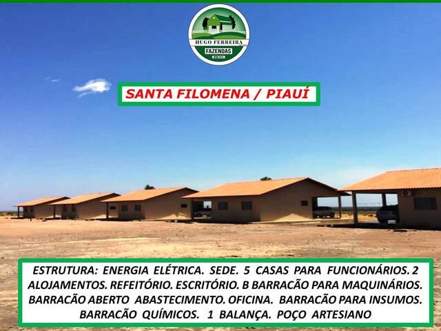 #5282 - Fazenda para Venda em Santa Filomena - PI - 2