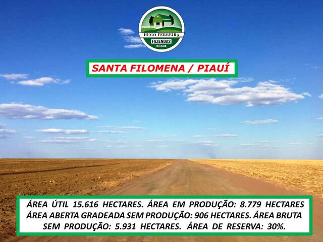 #5282 - Fazenda para Venda em Santa Filomena - PI - 3