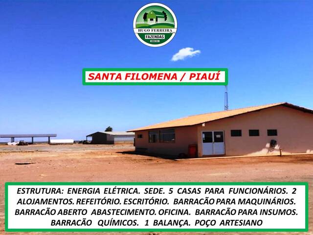  para  em  - 5