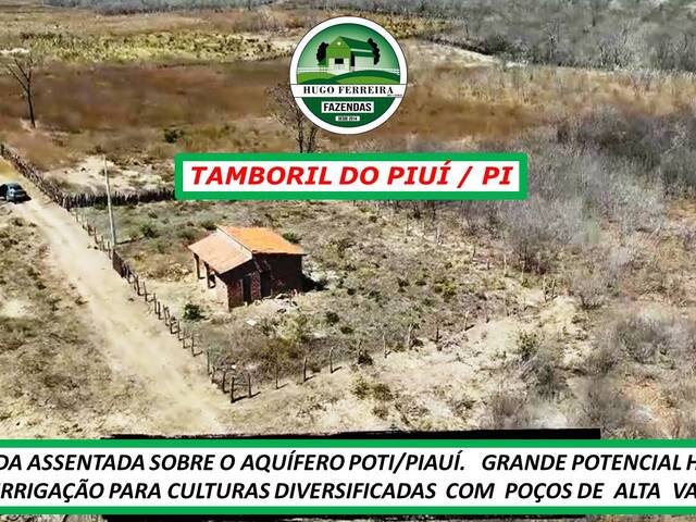 #5292 - Fazenda para Venda em Tamboril do Piauí - PI - 2