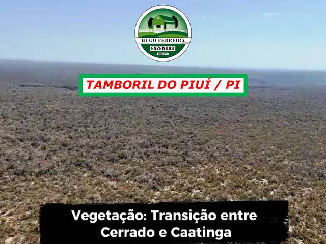 #5292 - Fazenda para Venda em Tamboril do Piauí - PI - 3