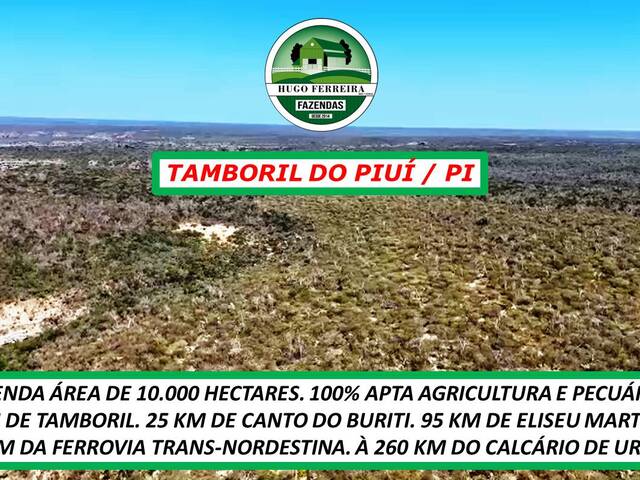 #5292 - Fazenda para Venda em Tamboril do Piauí - PI - 1