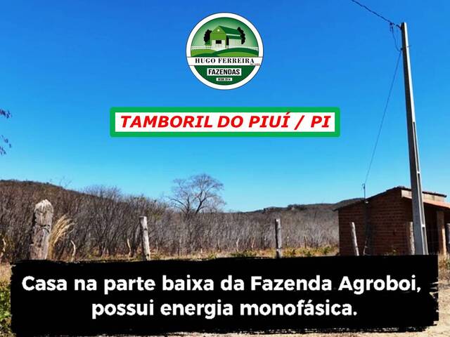  para  em  - 4