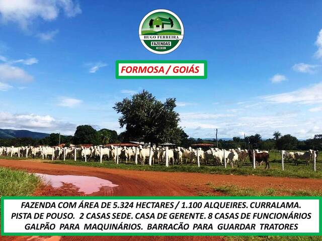 #5300 - Chácara para Venda em Formosa - GO - 3