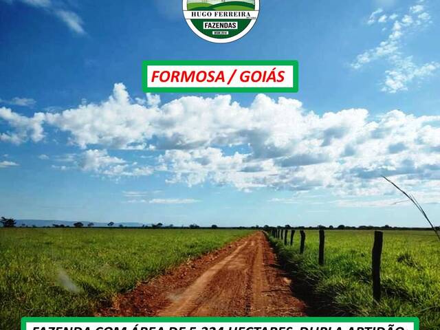 #5300 - Chácara para Venda em Formosa - GO - 1