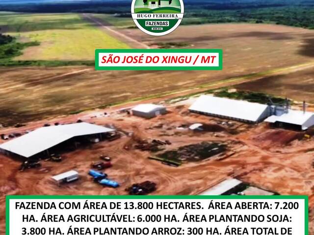 #5322 - Fazenda para Venda em São José do Xingu - MT - 1