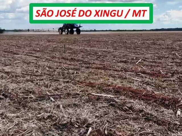  para  em  - 4