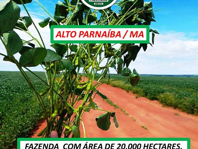 #5333 - Fazenda para Venda em Alto Parnaíba - MA - 2