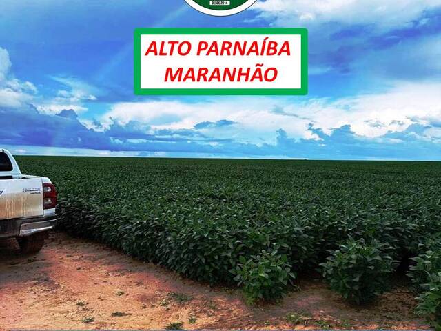 #5333 - Fazenda para Venda em Alto Parnaíba - MA - 3