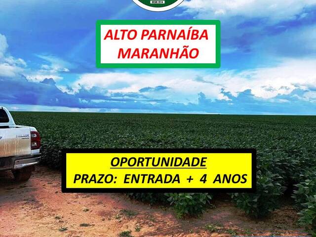 #5333 - Fazenda para Venda em Alto Parnaíba - MA - 1