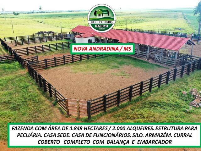 #5345 - Fazenda para Venda em Nova Andradina - MS - 2