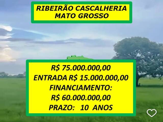 #5350 - Fazenda para Venda em Ribeirão Cascalheira - MT - 1