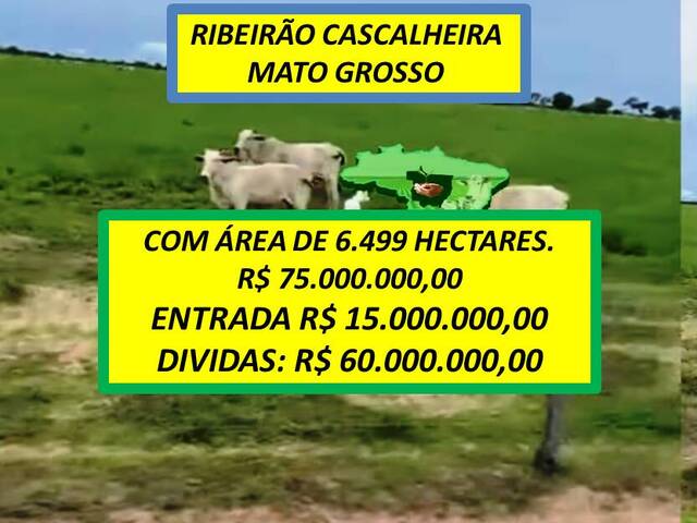 #5350 - Fazenda para Venda em Ribeirão Cascalheira - MT - 2