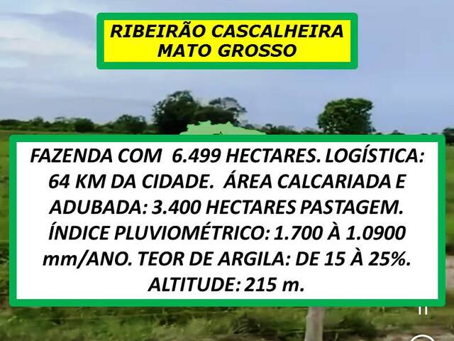 Fazenda para Venda em Ribeirão Cascalheira - 5