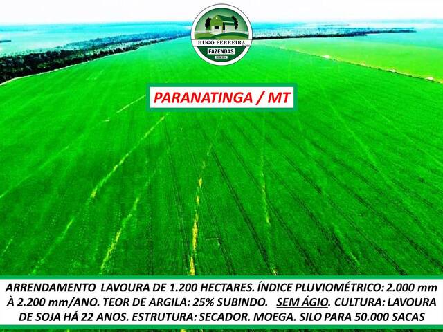 #5400 - Fazenda para Arrendamento em Paranatinga - MT - 2