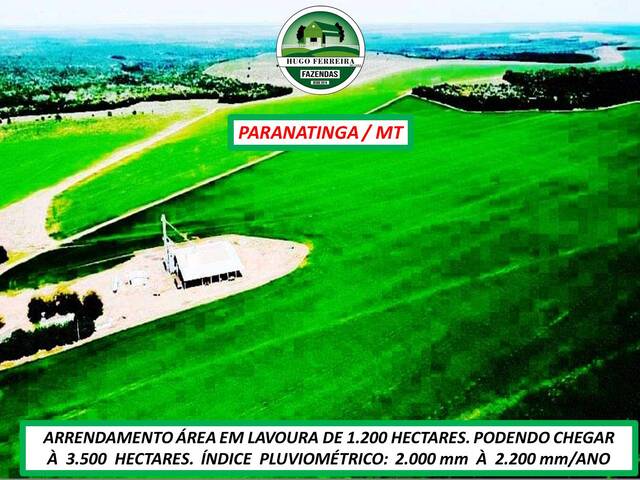 #5400 - Fazenda para Arrendamento em Paranatinga - MT - 3
