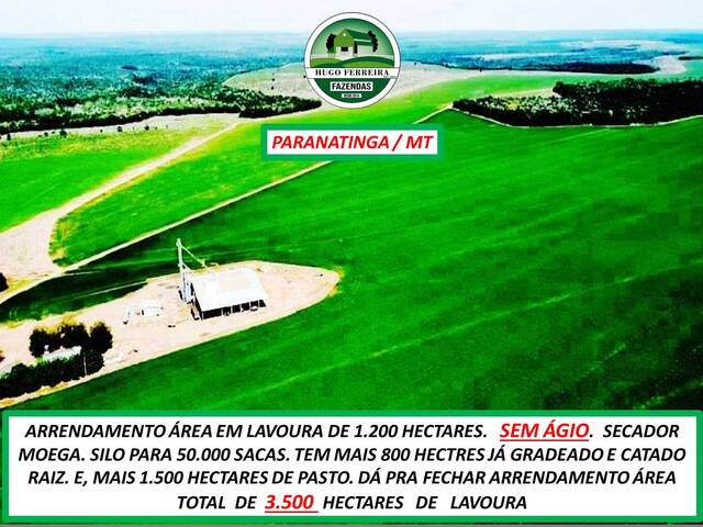  para  em  - 4