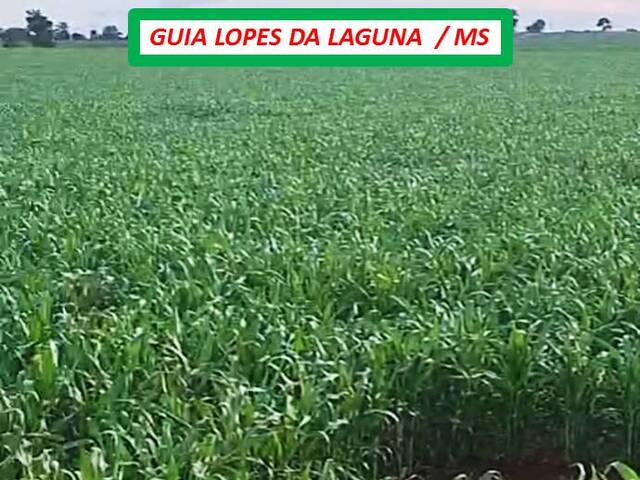 #5385 - Fazenda para Venda em Guia Lopes da Laguna - MS - 2