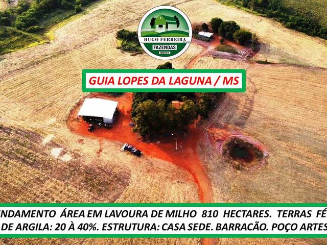 #5385 - Fazenda para Venda em Guia Lopes da Laguna - MS - 3