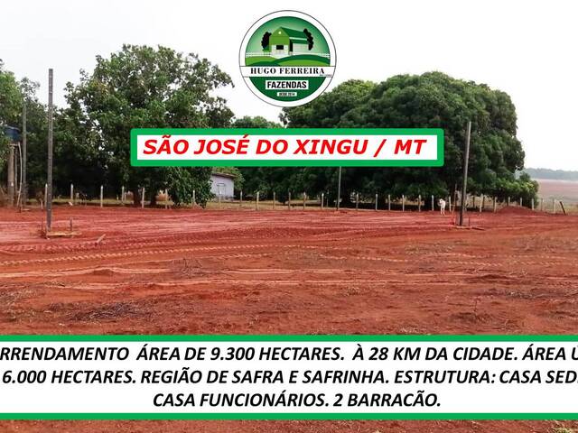 #5422 - Fazenda para Arrendamento em São José do Xingu - MT - 3
