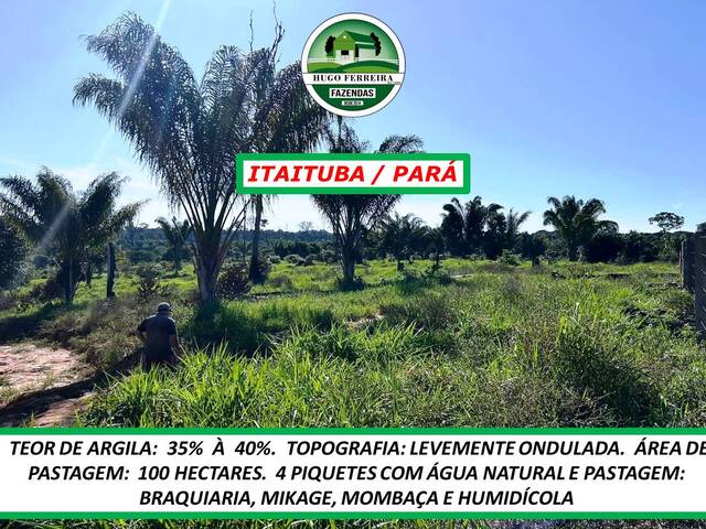 #5435 - Fazenda para Venda em Itaituba - PA - 1