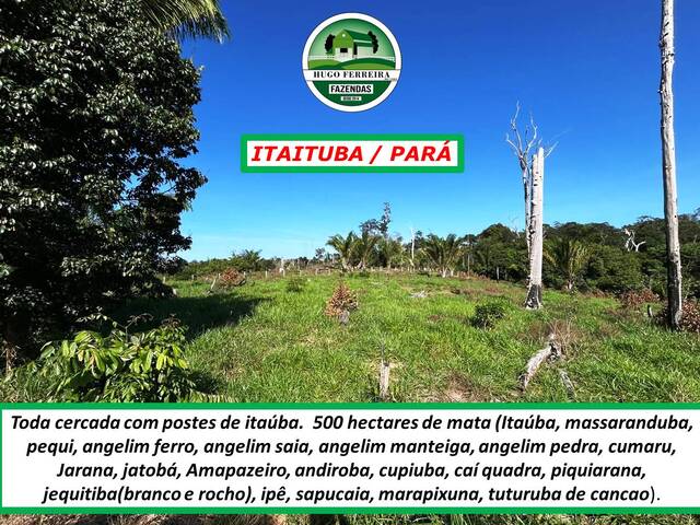 #5435 - Fazenda para Venda em Itaituba - PA - 2