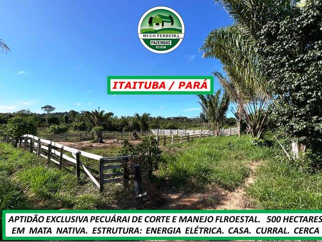 #5435 - Fazenda para Venda em Itaituba - PA - 3