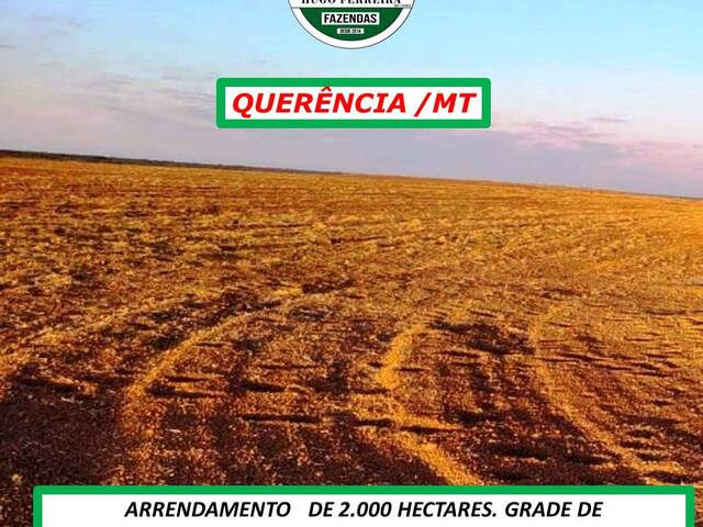 #5477 - Fazenda para Arrendamento em Querência - MT - 2