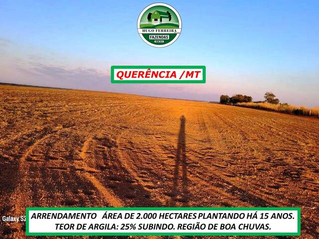 #5477 - Fazenda para Arrendamento em Querência - MT - 3