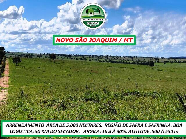 #5500 - Fazenda para Arrendamento em Novo São Joaquim - MT - 3